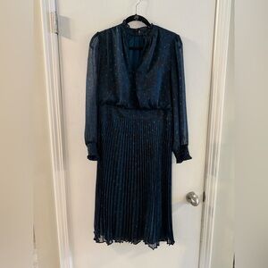 Ann Taylor Midnight Blue Long Sleeve Dress